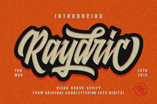 Bring Authentic Energy to Your Brand with Raydric Script