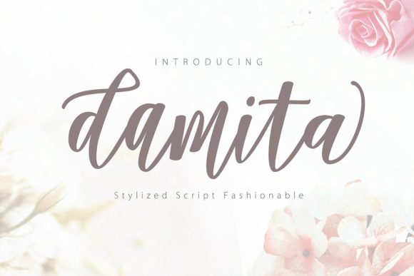 Damita Script: The Modern Script Font for Creative Brands