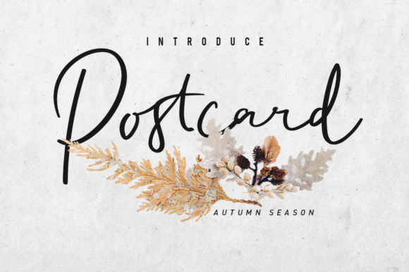 Postcart Script: A Fresh Take on Elegant Typography