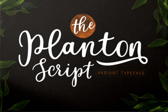 Why Planton Script Is the Hand-Lettered Font Your Projects Need
